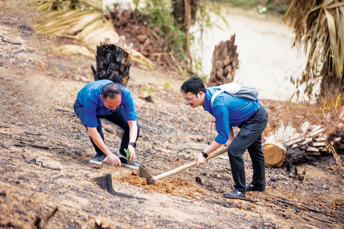 Ảnh 2 - Cùng chung tay trồng những mầm xanh