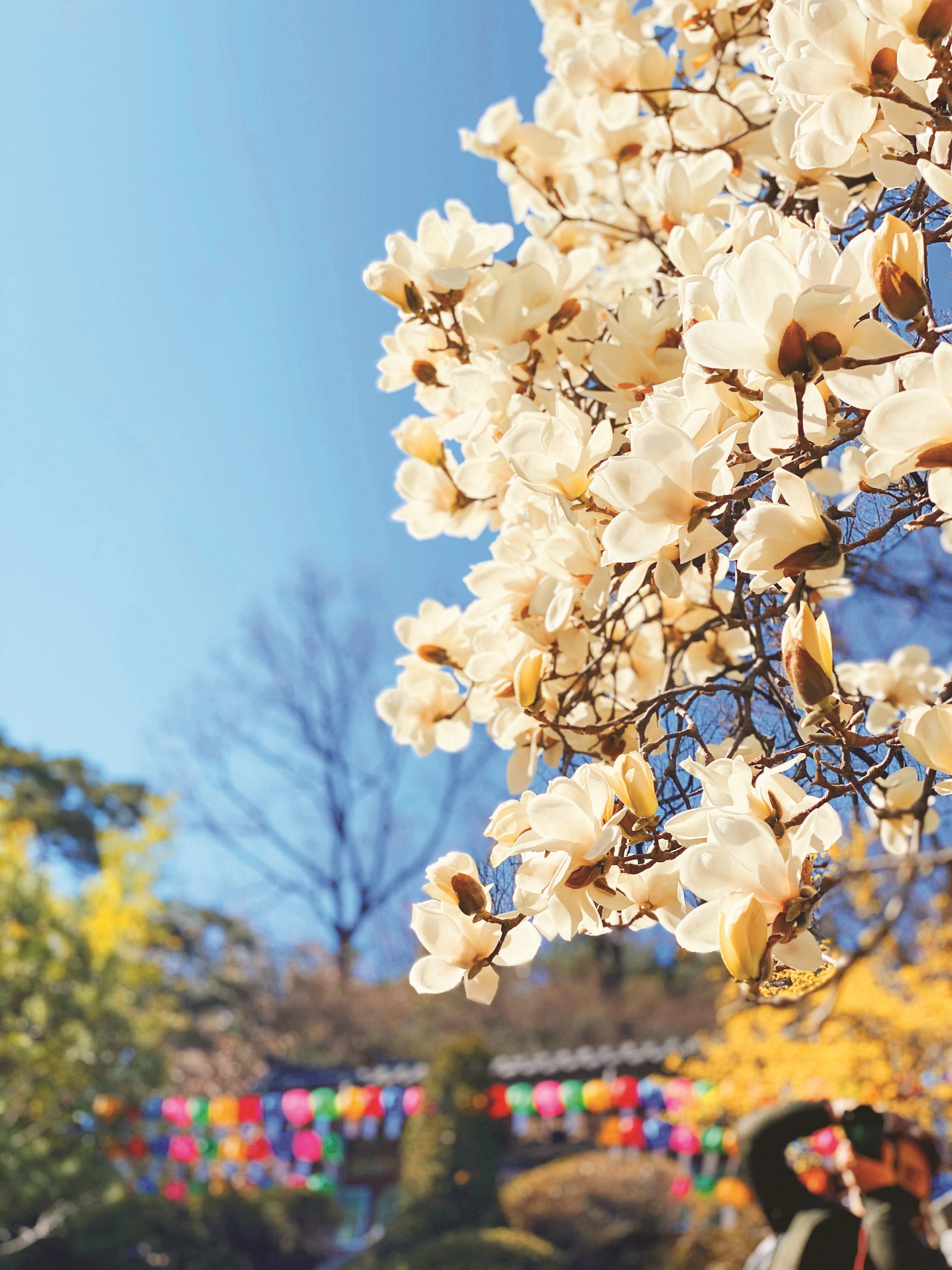 March 2025 issue cover (no text)