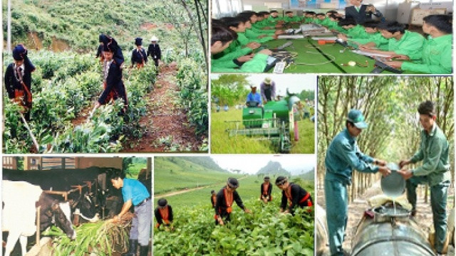 undefined Đổi mới toàn diện, nâng cao chất lượng đào tạo nghề cho lao động nông thôn
