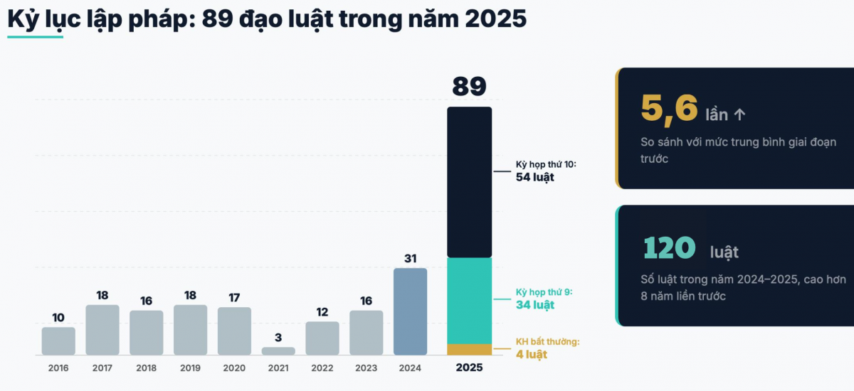 Nguồn: Báo cáo Dòng chảy pháp luật kinh doanh 2025