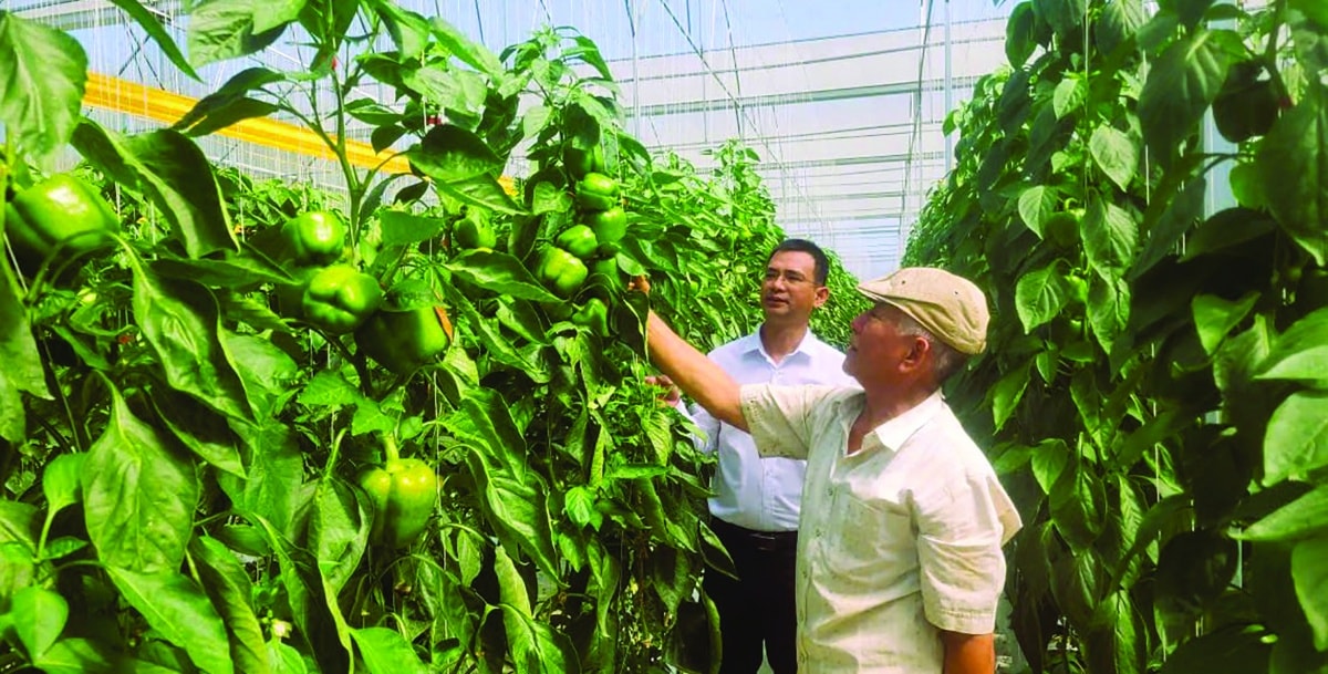 Thanh toán số phải trở thành động lực của tài chính số