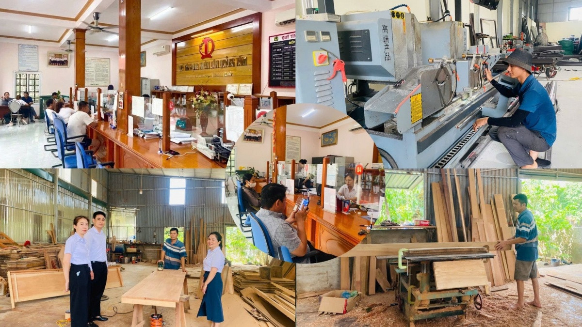 Nguồn vốn tín dụng hợp tác tiếp sức người dân phát triển kinh tế bền vững Nguồn vốn tín dụng hợp tác tiếp sức người dân phát triển kinh tế bền vững