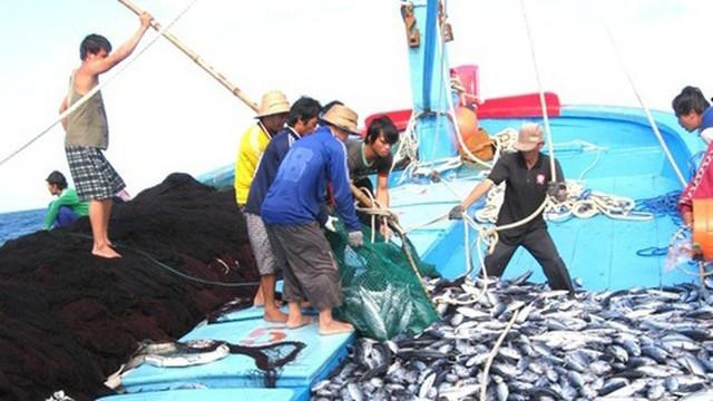 Kế hoạch khắc phục khuyến nghị của EC về chống khai thác IUU 