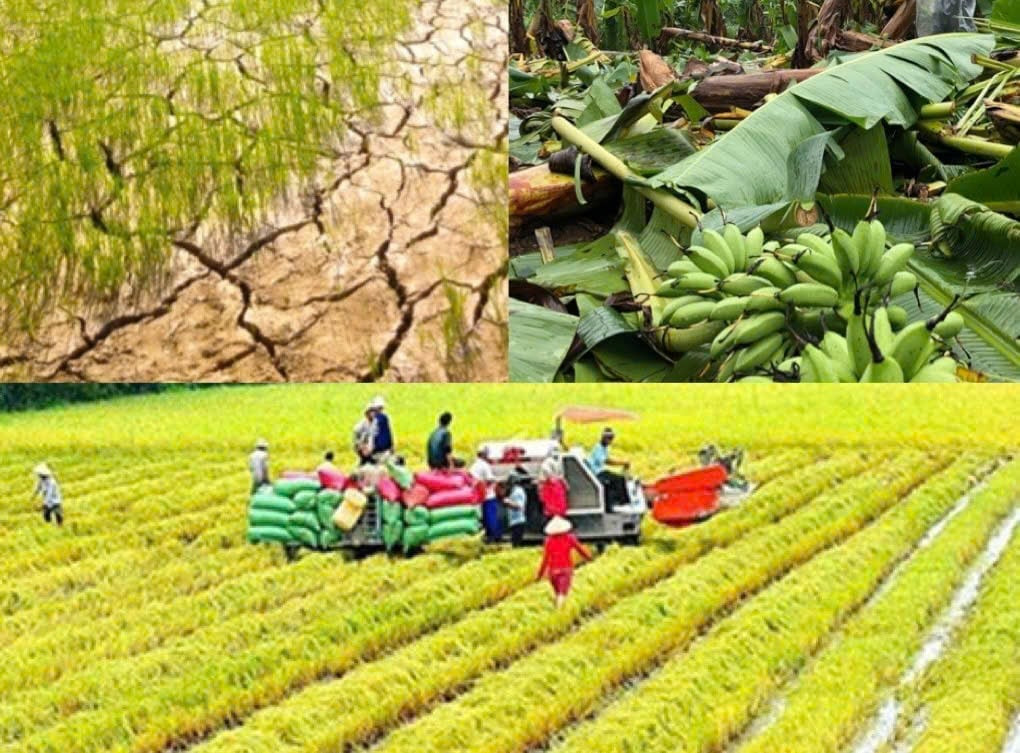 Chỉ đạo, điều hành của Chính phủ, Thủ tướng Chính phủ nổi bật tuần 5-11/9/2026- Ảnh 2.