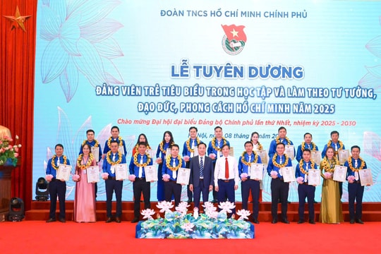 Tuyên dương Đảng viên trẻ tiêu biểu thuộc Đảng bộ Chính phủ