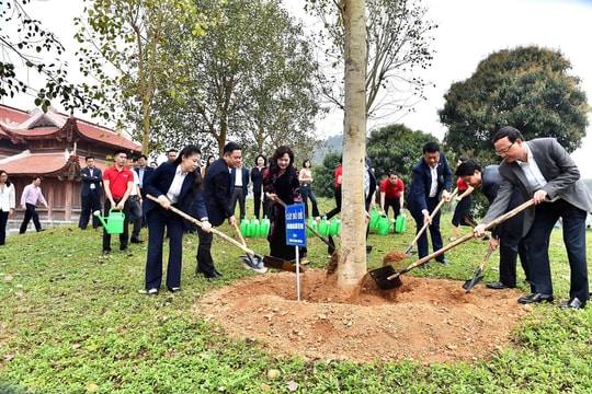 BIDV tham gia đoàn công tác ngành Ngân hàng về nguồn tại Tân Trào và phát động Tết trồng cây năm 2026