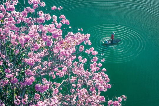 Kỷ niệm khó quên về văn hóa nghĩa tình