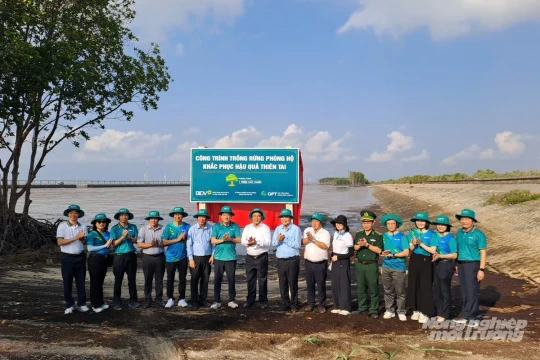 BIDV tham gia phát động trồng mới 40 ha rừng phòng hộ ở Cần Thơ