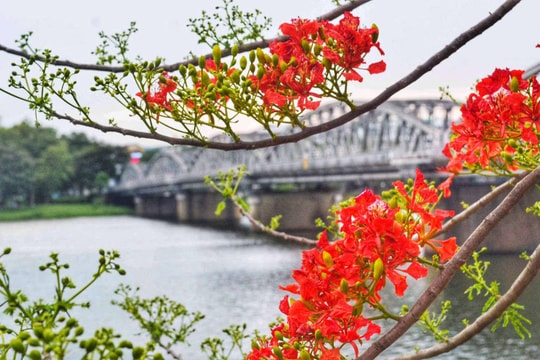 Nhớ về một chuyến đi Ân tình