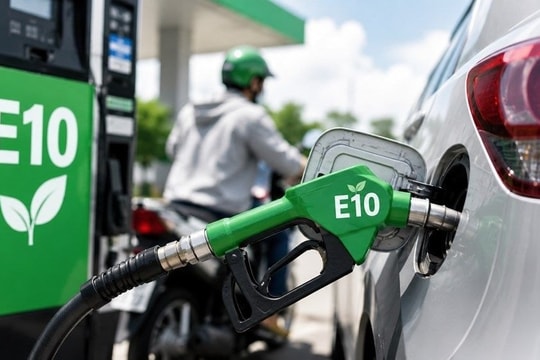 [Infographic] Cẩm nang sử dụng xăng E10