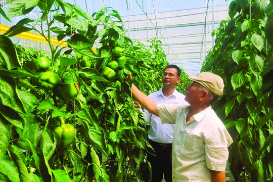 Thu hút dòng vốn xanh để thúc đẩy tăng trưởng
