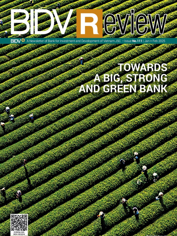 BIDV Review No.111
