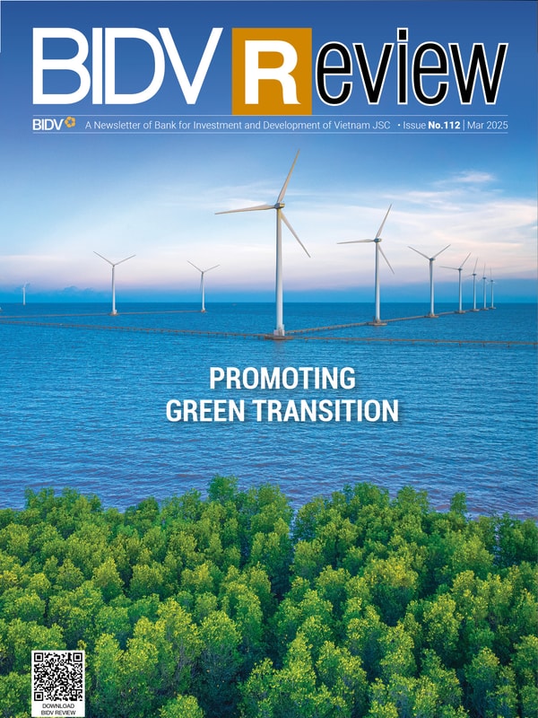BIDV Review No.112
