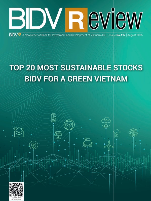 BIDV Review No.117