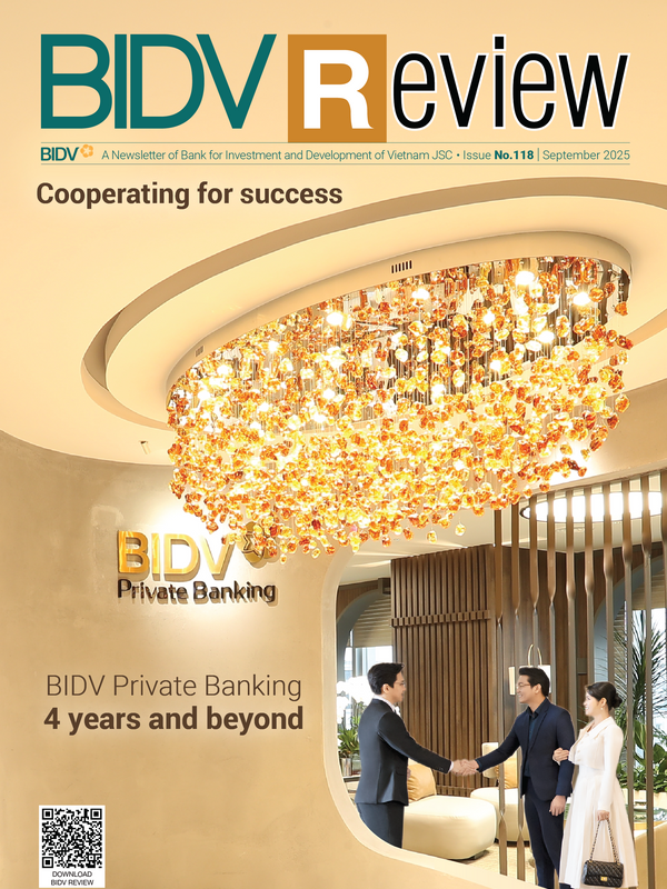 BIDV Review No.118