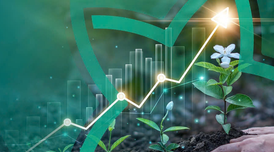 Joint Stock Commercial Bank for Investment and Development of Vietnam (BIDV) announces the issuance of 2025 Green & Sustainability Bond Allocation and Impact Report.