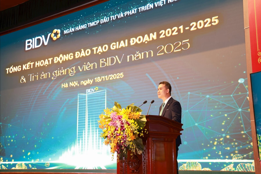 Knowledge and experience are endless assets that can be given without ever being lost.