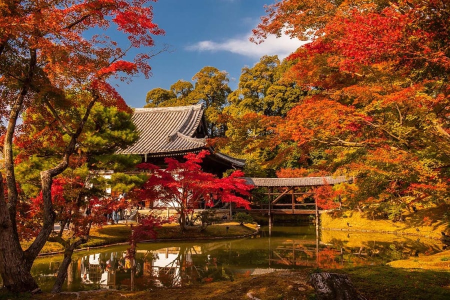 Kyoto – sắc thu rực rỡ của cố đô Nhật Bản