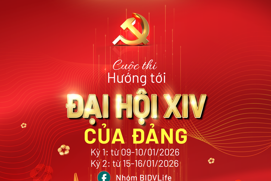 BIDV 당위원회와 제14차 당대회에 대해 알아보기