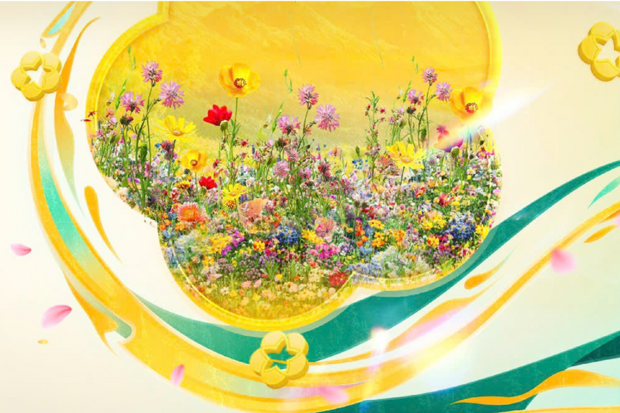 Xem livestream - Tặng bạc Ancarat