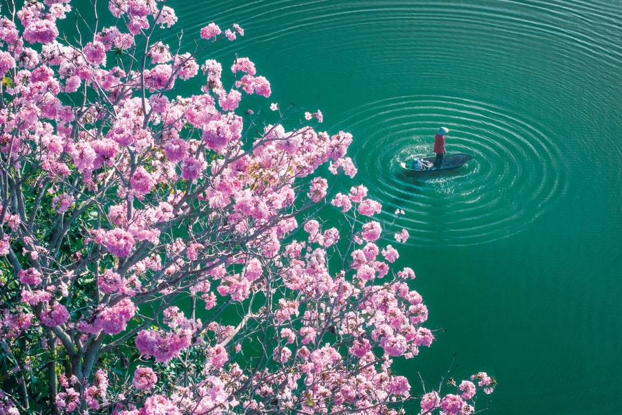 Unforgettable memories of a culture of kindness and compassion