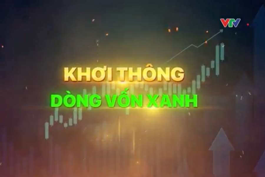 Thúc đẩy vốn xanh - cần sự đồng hành