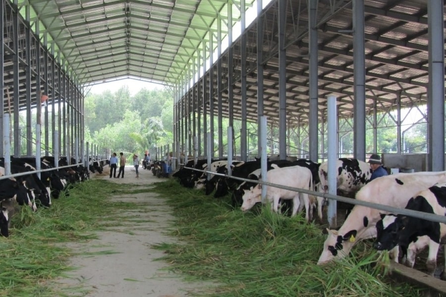 Thúc đẩy ứng dụng công nghệ số để xanh hóa chuỗi giá trị nông sản