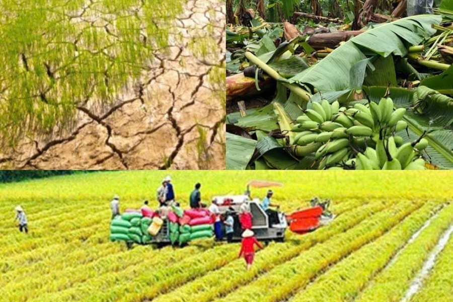 Chỉ đạo, điều hành của Chính phủ, Thủ tướng Chính phủ nổi bật tuần 5-11/9